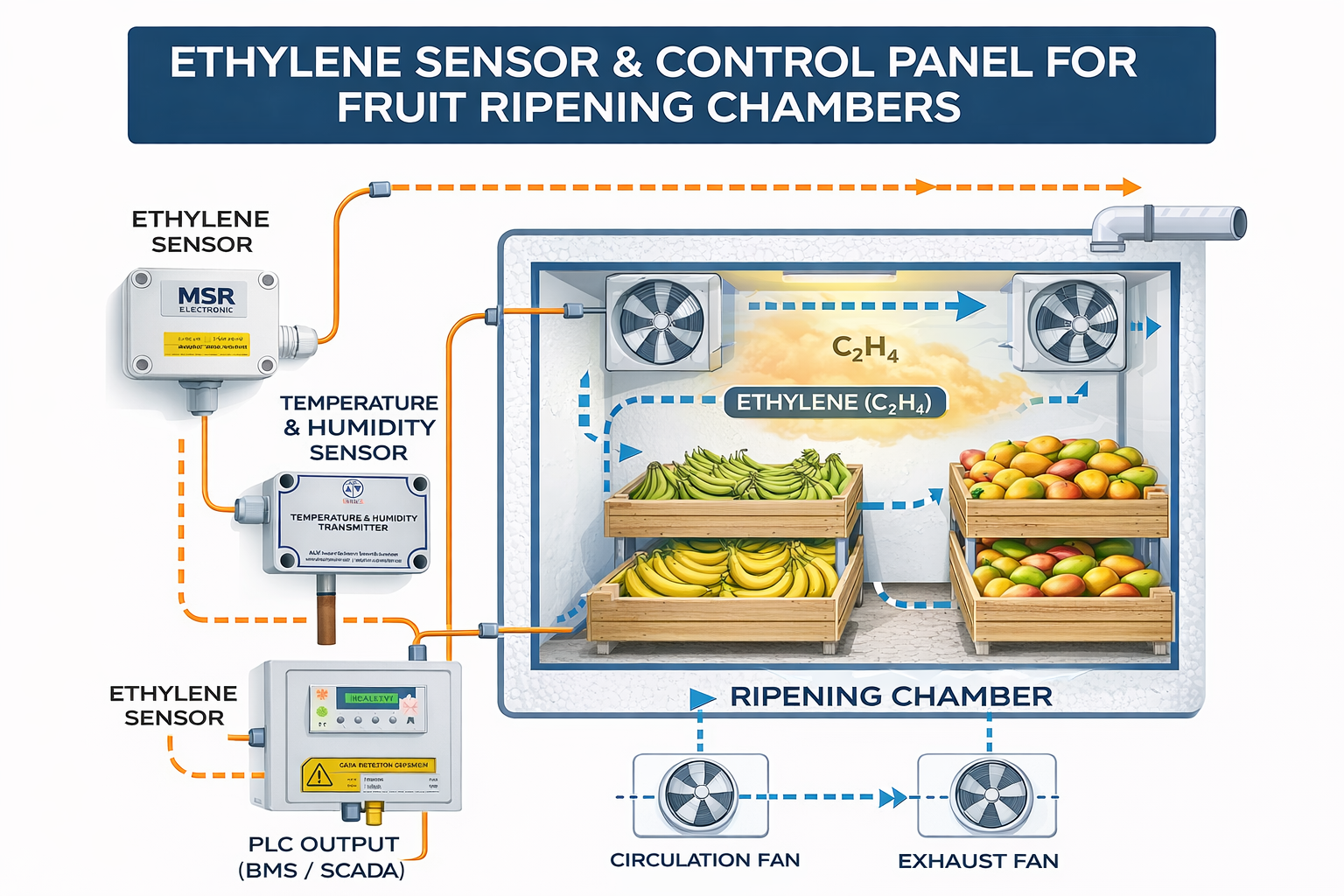 Industrial Ethylene Gas Sensor for Precise Fruit Ripening Control